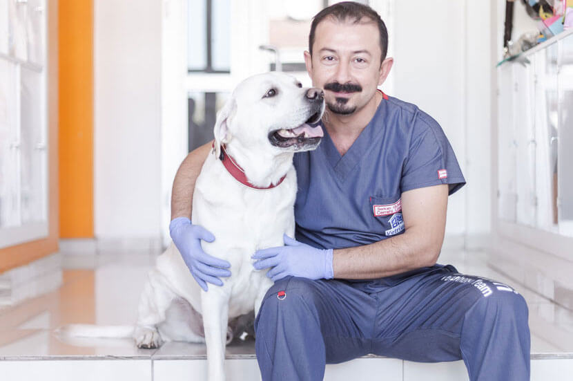 Laboratuvar ve Görüntüleme Hizmetleri